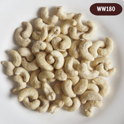 Wholesale Roasted Salted Cashew Nuts Grade W180 W320 W450 Made in China