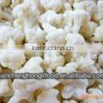 Supply new crop frozen cauliflower