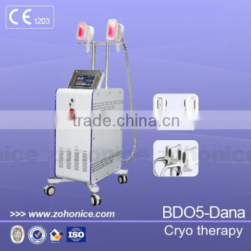 BD05 Top quality most popular & professional cryo therapy fat freeze beauty equipment