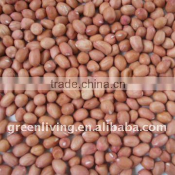 Good Qality Chinese Peanuts kernel