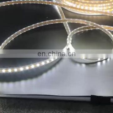 High Quality Ultra Slim 60leds/m Led Strip Light Waterproof IP68 For Decoration