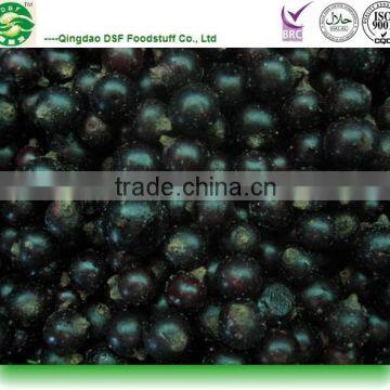 price of Black currant iqf berries with good quality