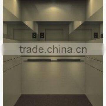 Passenger Elevator/Passenger Lift Various Capacity, Speed and Design