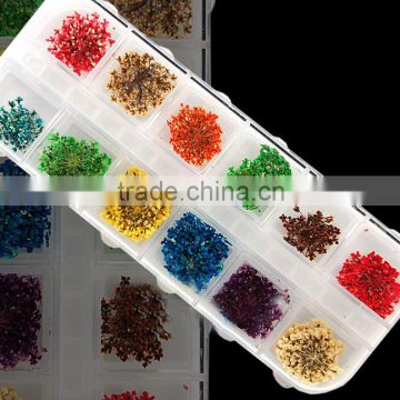 H1-033 12COLORS LACE DRY FLOWER ,Real dry flower