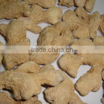chinese greenfarm dried ginger for sale