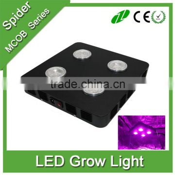 ODM OEM Acceptable Led COB Grow light, hydroponic grow kits for Growing Plants
