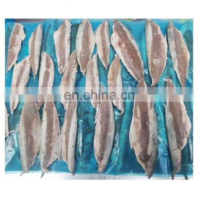 Wholesale frozen steamed mackerel fillet block