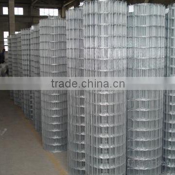 electro welded square wire mesh