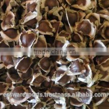 Indian Drumstick Seed supplier