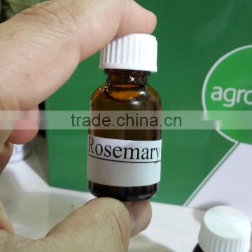 High Quality Rosemary Essential Oil from Turkey ,rosemary price , rosemary export