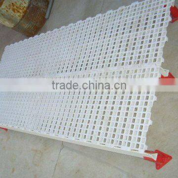 raised poultry chicken house flooring