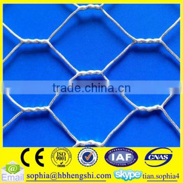 china anping factory supply hexagonal chicken wire mesh