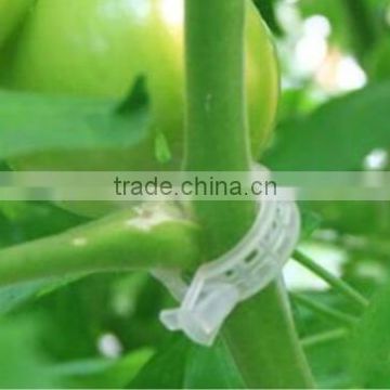 2017 New Garden Plant Tomato Clip Plastic Clip