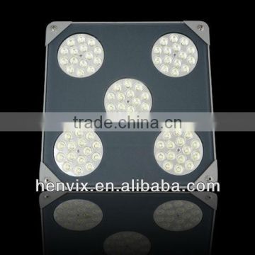 High Efficiency led gas station ceiling light