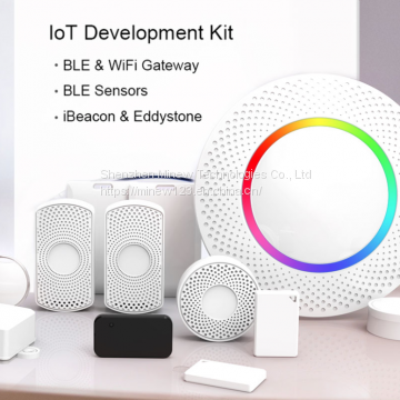 Share IoT Development kit based on Bluetooth 5.0, WiFi and Smart Sensor technology