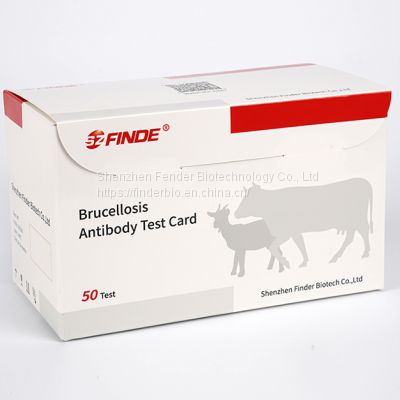 Bovine Sheep Brucella Antibody Rapid Test