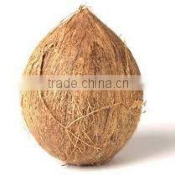 Fresh Semi Coconuts