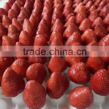 IQF sweet Strawberry price