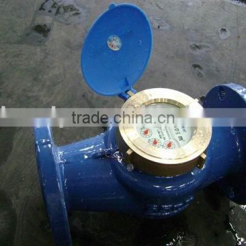 Amico Wet Flanged water meter