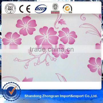 JIS PE Zinc 50g *0.22mm*1220mm Printed PPGI Taian Zhongcan Steel Plate for Carport