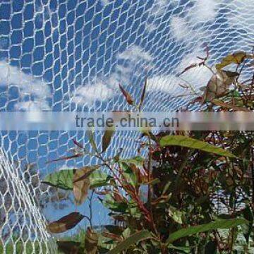 Anti bird protection net