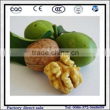 200kg/h Electric Walnut Peeling Machine with Factory Price