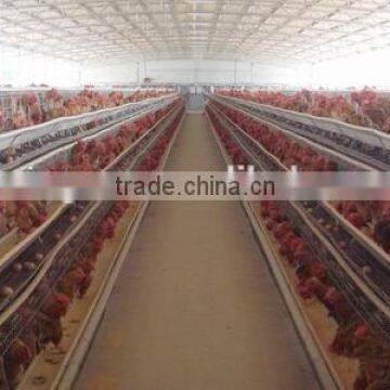 agricultural steel buildings steel structure design poultry farm shed