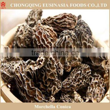 Dried Wild Mushroom Morel Mushroom for Sale