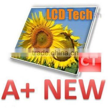 China best price Laptop LCD Display M101NWT2