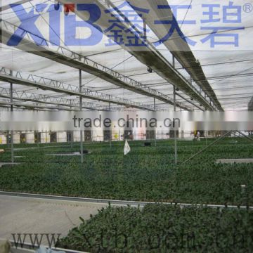 Venlo agricultural greenhouse