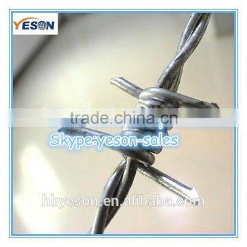 electrical wiring barbed wire weight per meter / barbed wire price per roll