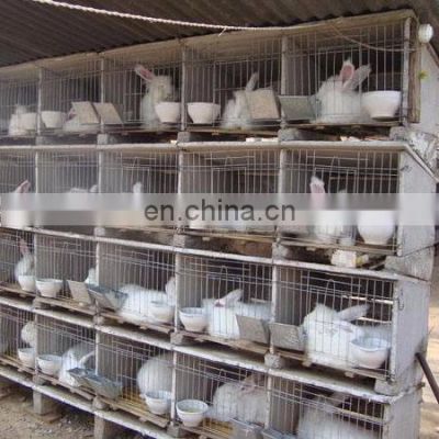 High Quality Galvanized Welded Rabbit Cage Wire Mesh/High Quality Rabbit Cage/Rabbit Farming Cage