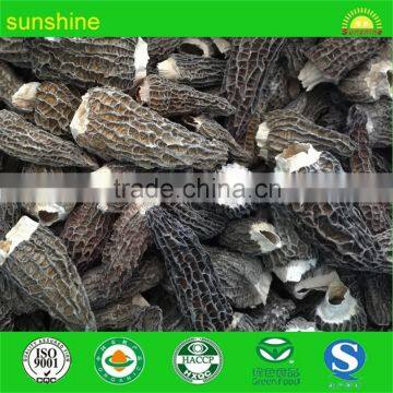 Chinese dried morel mushrooms morchella 2016 new goods hot sale