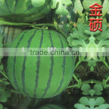 BR thin rind early mature hybrid watermelon seeds