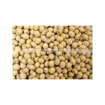 Quality Soyabeans for sale