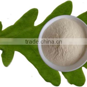Non-animal fungal chitosan for toothpaste