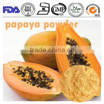 KOSHER&NATURAL Manufacturer supply fermented green papaya powder