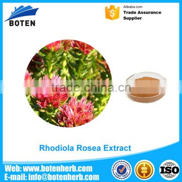 good quality Skin caring Natural Rhodiola Rosea Extract 5% Rosavins Of New Structure