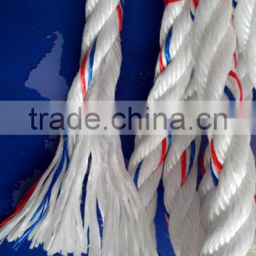 high quality Danline Rope competitive price