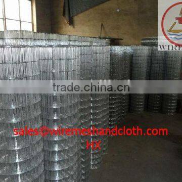 galvanized welded wire mesh/building materials