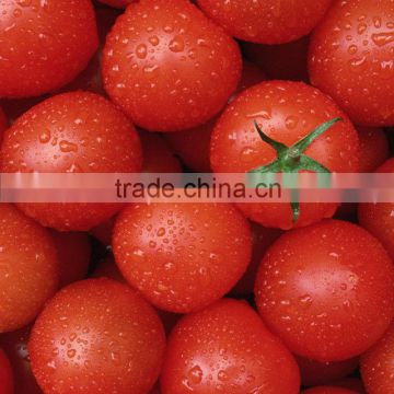 IQF cherry tomato