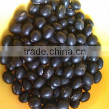 Black Soybean ( yellow inside) 2010 crop, Heilongjiang Origin