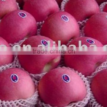 new crop fuji apple