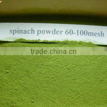 dried spinach powder exporter
