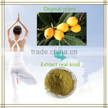 Hot sale products in 2014 top 50 corosolic acid