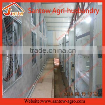 Russia Popular Supplier Hot-dipped Automatic broiler Brood cage for Meat Production