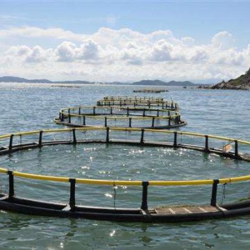 Square And Circle Deep Sea Fish Cage Floating Net Cage