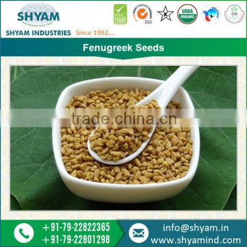 Traditionally Grown Organic Fenugreek Seeds Available in Customized Packing