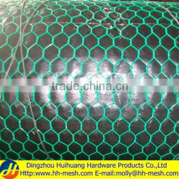 1/2" green pvc coated chicken wire mesh -Huihuang Factory-20 YEARS-skype amyliu0930