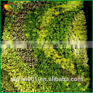 latest design artificial green wall plants